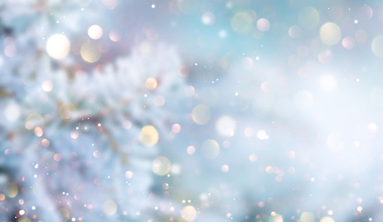 Soft winter scene with bokeh lights and frosted branches