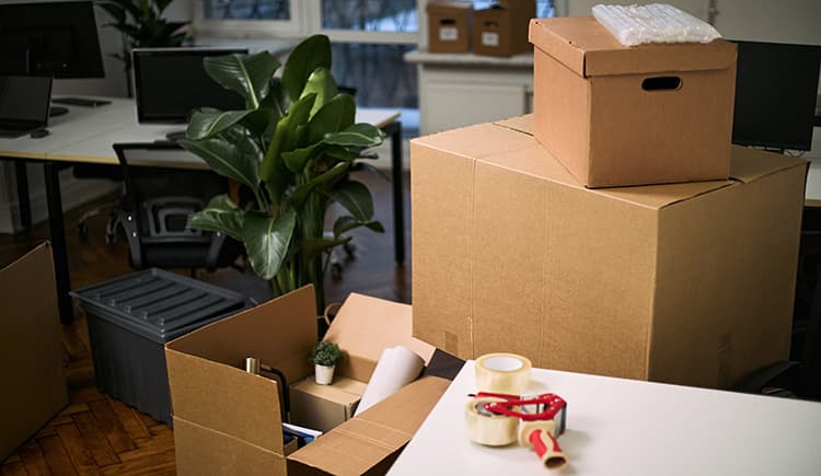 Cardboard boxes piled in an office