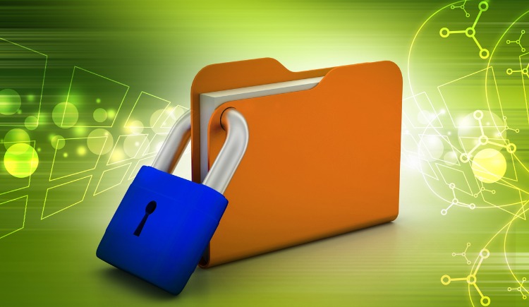 Orange file folder with a blue padlock and green background