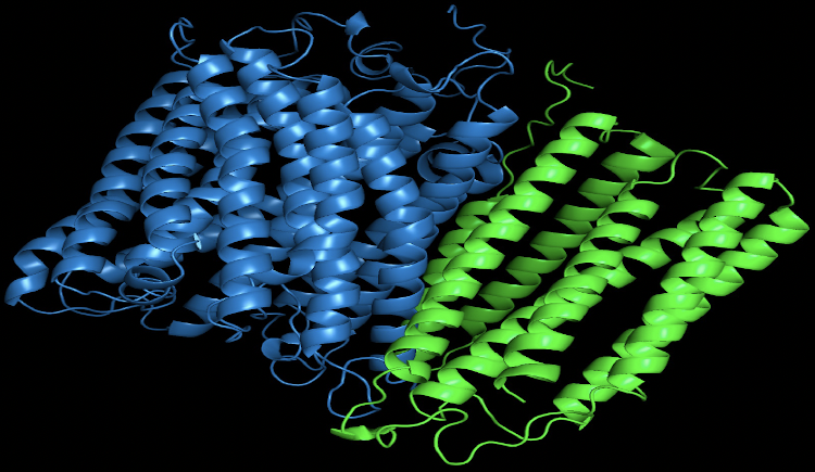 blue and green protein image from alphafold