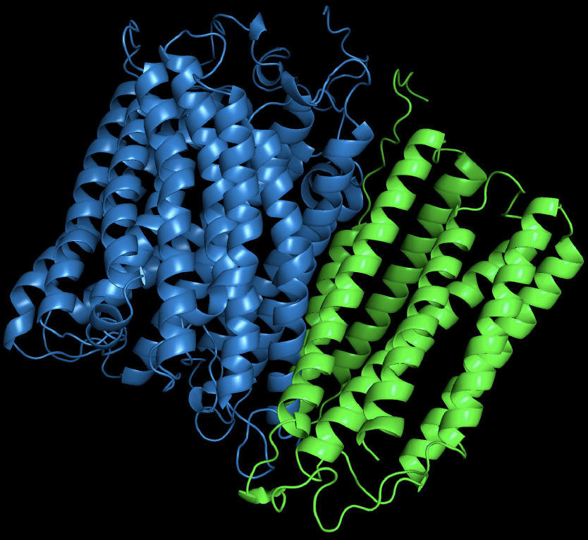 protein image from alphafold